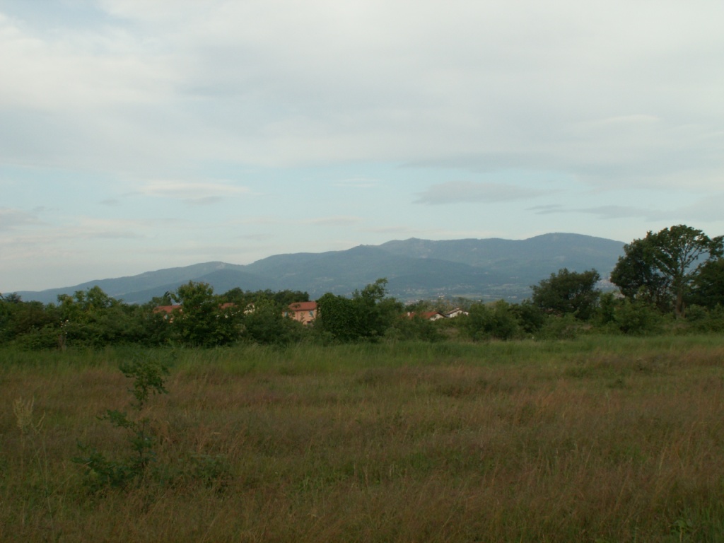 kurz vor Clonas. Im Hintergrund die Berge des Pilat