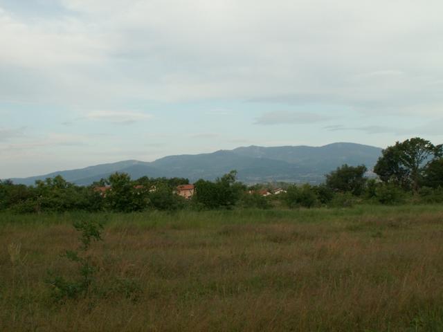 kurz vor Clonas. Im Hintergrund die Berge des Pilat