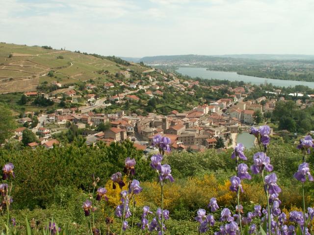 Blick auf Chavanay