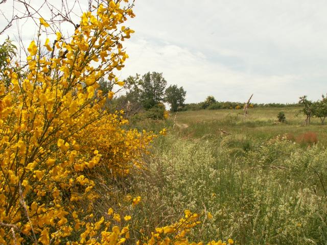 farbenprächtige Landschaft