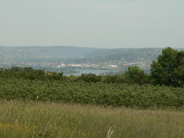 Blick zurück nach Chavanay und Rhône