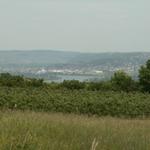 Blick zurück nach Chavanay und Rhône