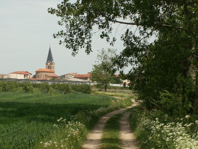 Blick zurück nach Bessey