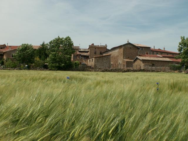 schöne Häuser am Wegesrand