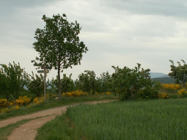 wir haben Croix de Sainte Blandine erreicht