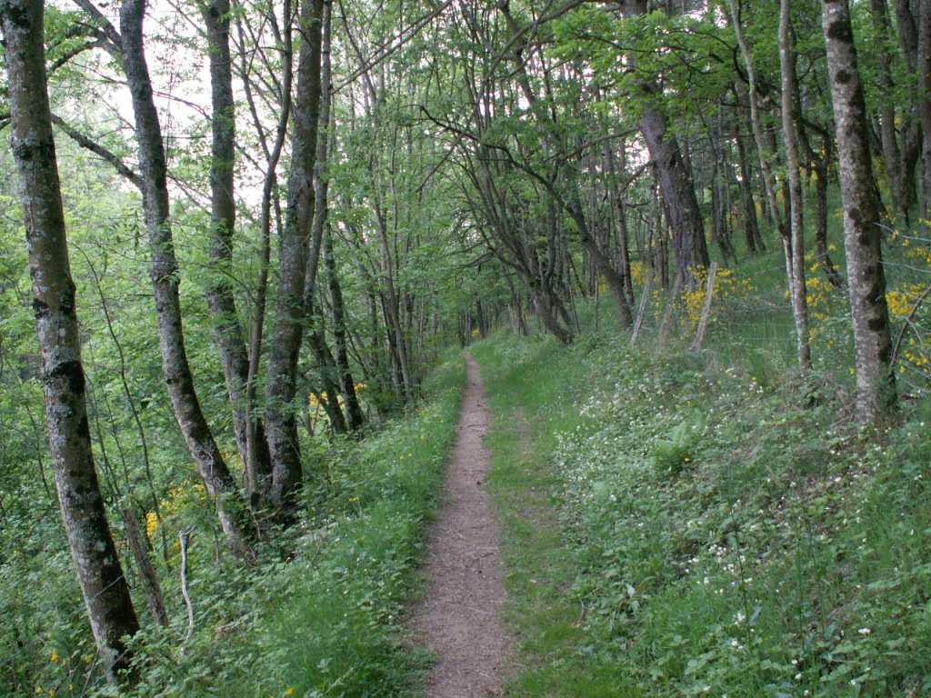 der Weg ist das Ziel