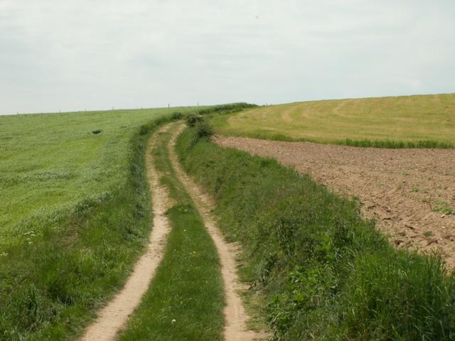 auf dem Weg Richtung Lampony