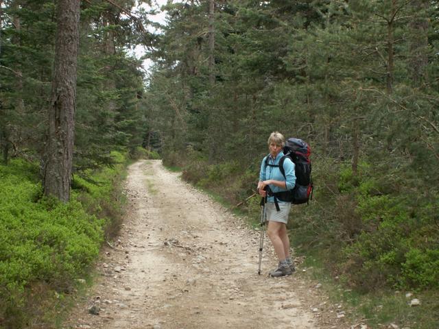 Mäusi gefällt's im Wald