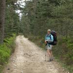 Mäusi gefällt's im Wald