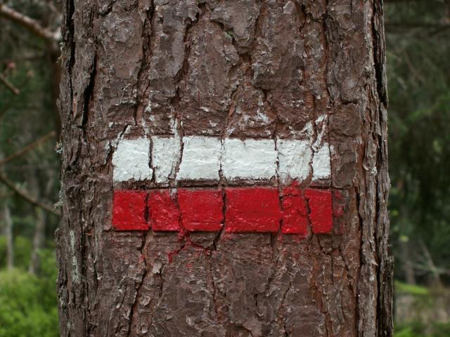 normaler Wanderweg in Frankreich ist weiss-rot gekennzeichnet