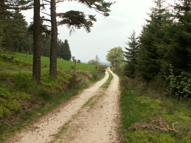 der Weg ist das Ziel