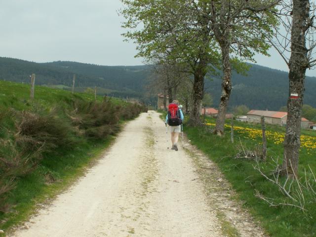 wir haben in die Region Auvergne gewechselt und in das Département Haute-Loire