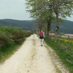 wir haben in die Region Auvergne gewechselt und in das Département Haute-Loire