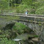 Mäusi auf der Brücke über den Bach Clavarine