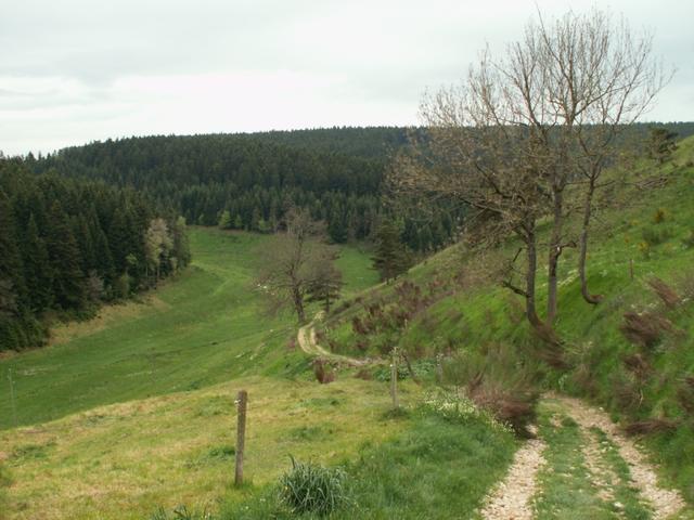 über schöne Wald- und Feldwege geht es Richtung Montfaucon en Velay