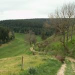 über schöne Wald- und Feldwege geht es Richtung Montfaucon en Velay