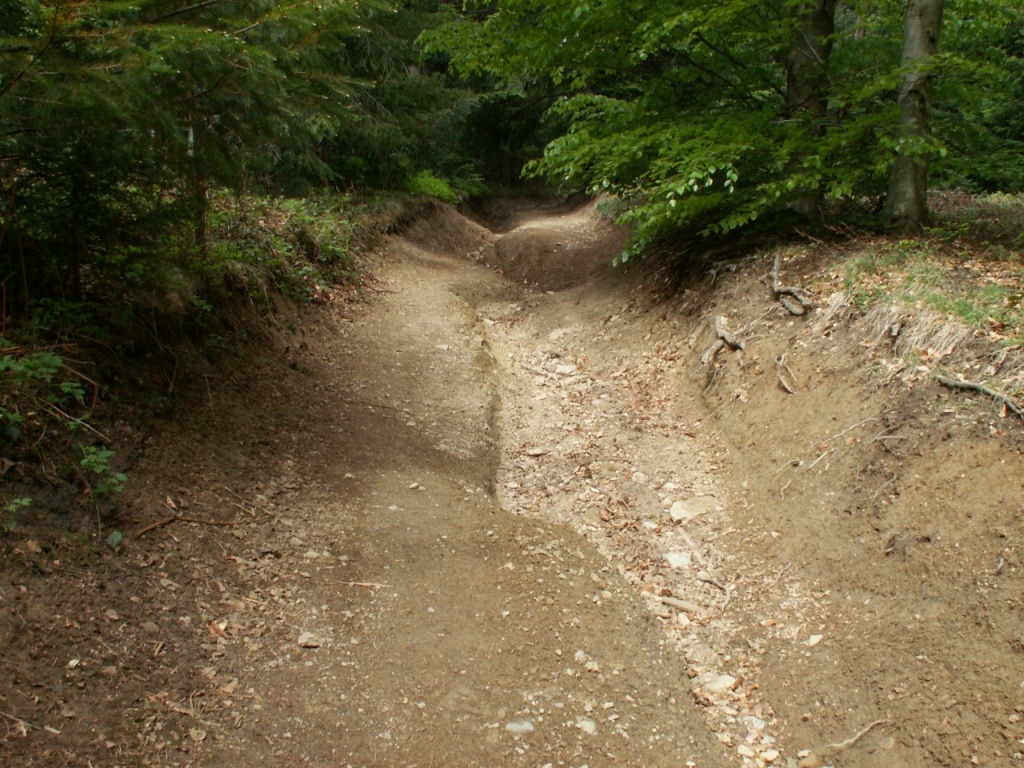 ist das ein Weg oder ein ausgetrockneter Bach?