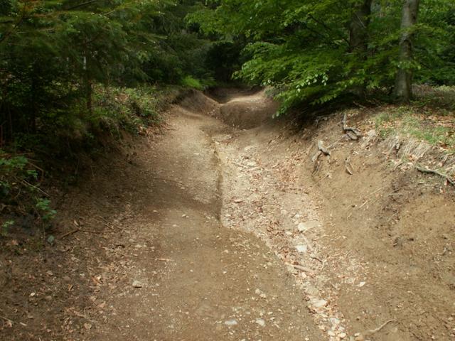 ist das ein Weg oder ein ausgetrockneter Bach?