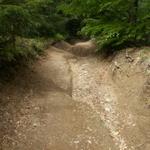ist das ein Weg oder ein ausgetrockneter Bach?