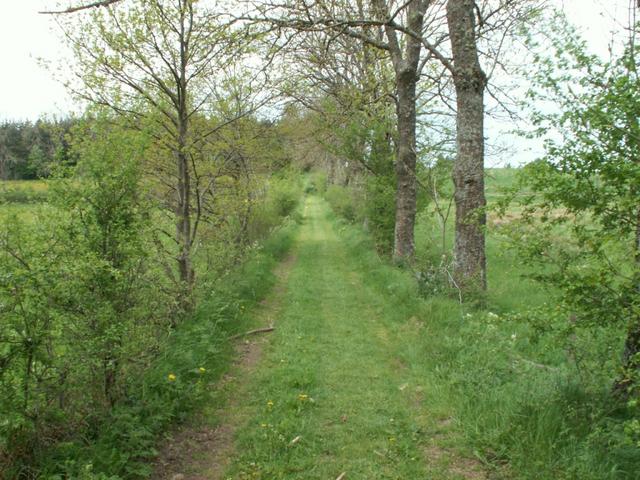 der Weg ist das Ziel