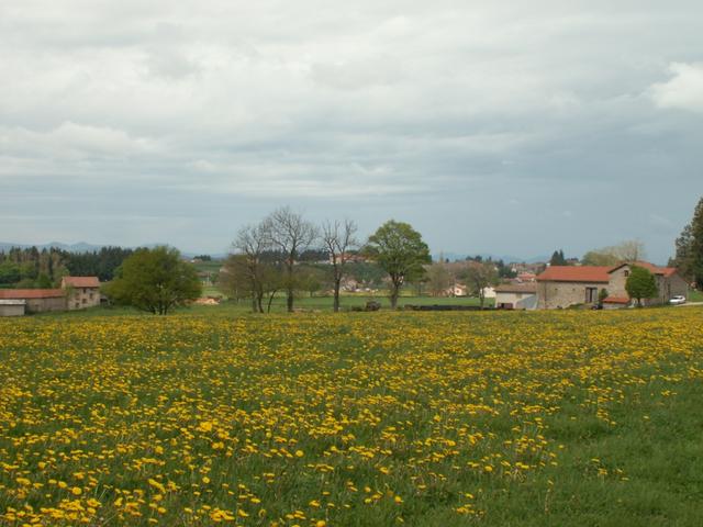 wir haben Montfaucon en Velay erreicht