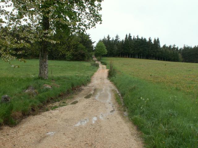 der Weg ist das Ziel