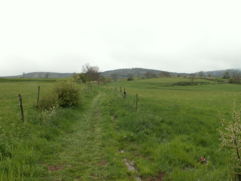 weiter geht es Richtung Raffy