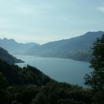 der Walensee