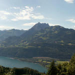 Blick zum Walensee mit Mürtschenstock