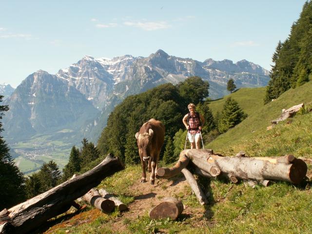 Mäusi mit Kuh und super Hintergrund