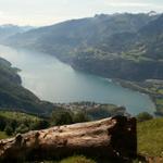 Blick auf den schönen Walensee