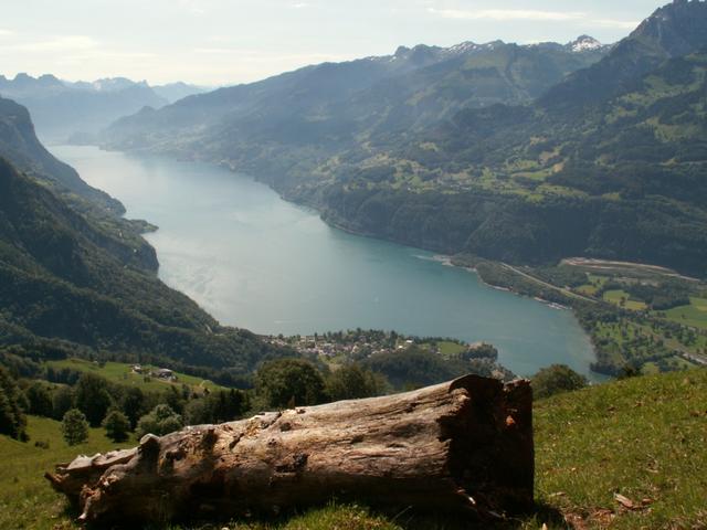 Blick auf den schönen Walensee