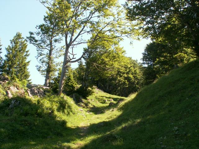 auf dem Weg Richtung Obernätenalp