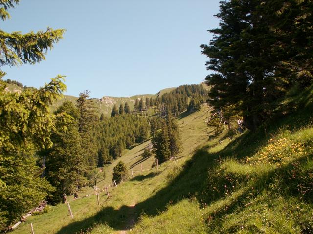 kurz vor der Obernätenalp