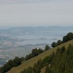 Blick runter zum Zürichsee