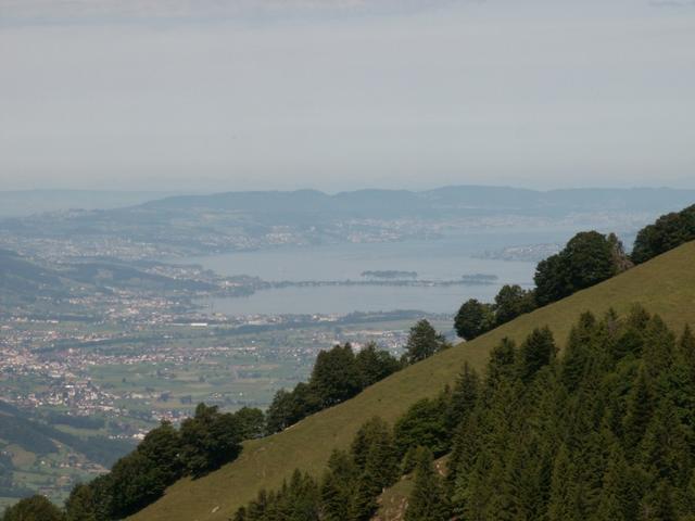 Blick runter zum Zürichsee
