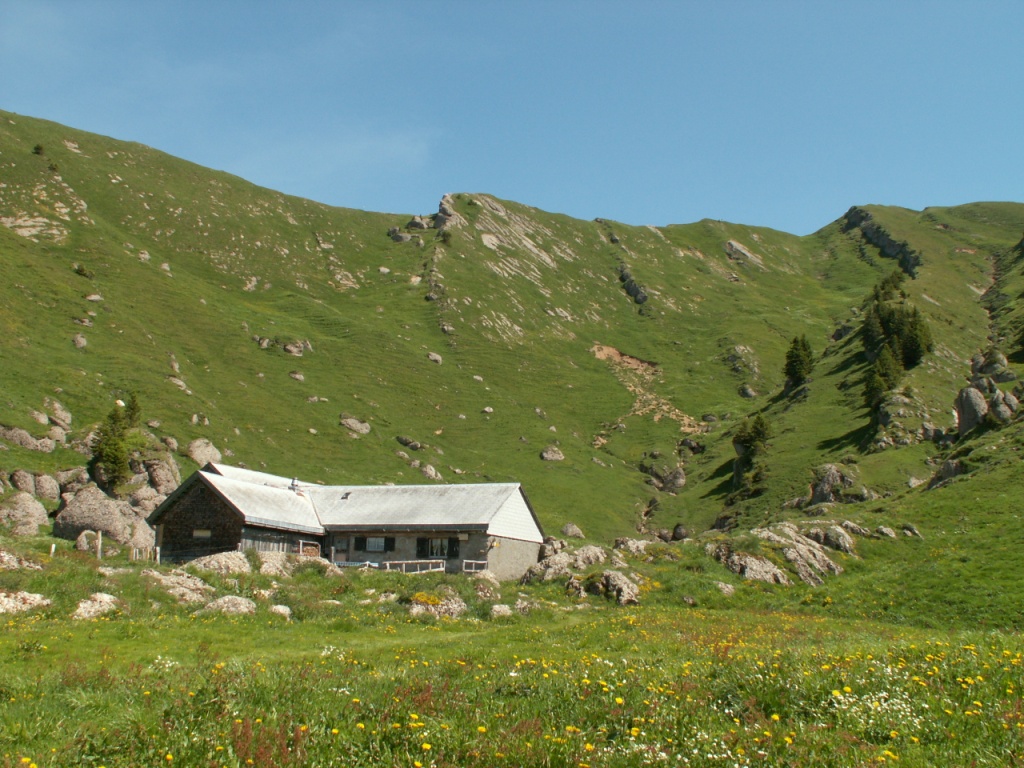 die Obernätenalp 1547 m.ü.M. im Hintergrund der Federigrat