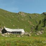 die Obernätenalp 1547 m.ü.M. im Hintergrund der Federigrat