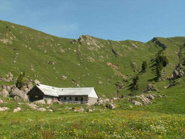 die Obernätenalp 1547 m.ü.M. im Hintergrund der Federigrat