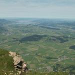 Blick vom Federigrat Richtung Zürichsee