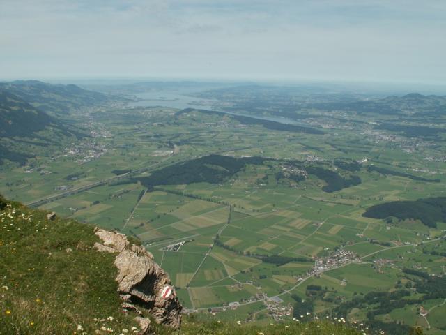 Blick vom Federigrat Richtung Zürichsee