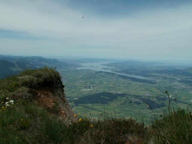 letzter Blick zum Zürichsee