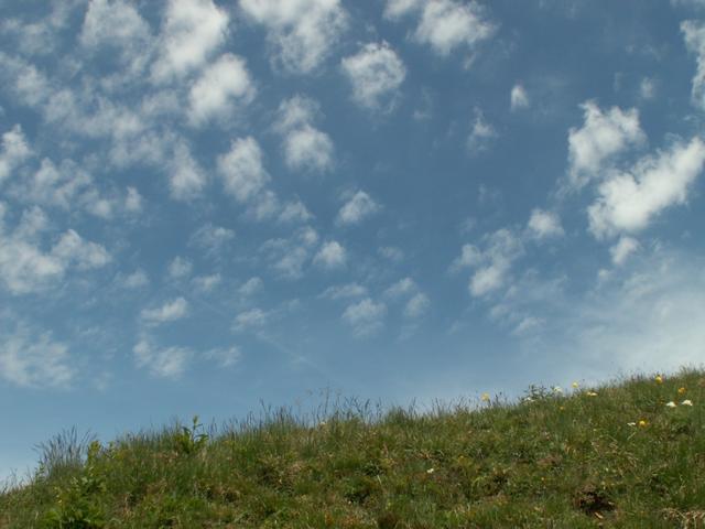 Schäfchenwolken bringen Regen