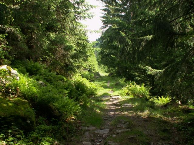 auf einem schönem Wanderweg geht es weiter aufwärts