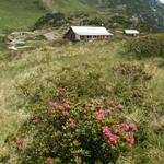 schöne Gegend hier bei der Murgseehütte