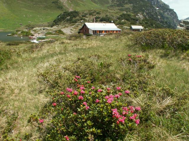 schöne Gegend hier bei der Murgseehütte