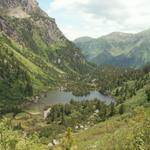 der Unter Murgsee mit seinem Arvenwald