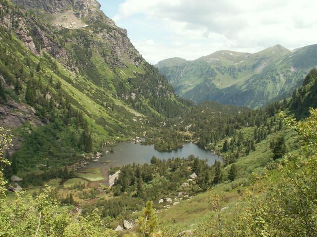 der Unter Murgsee mit seinem Arvenwald