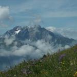 Blick zum Mürtschenstock