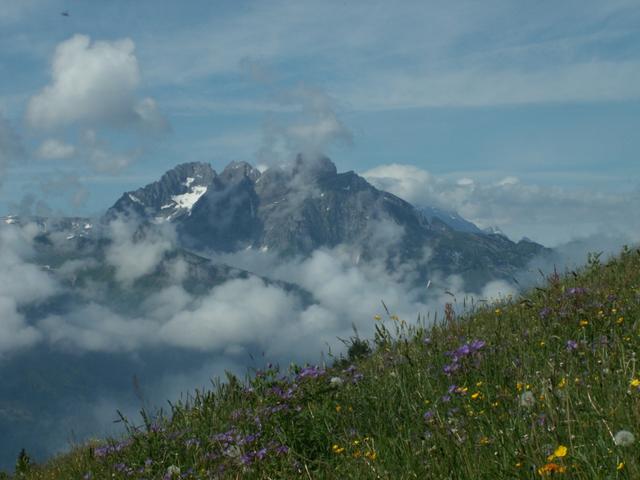 Blick zum Mürtschenstock